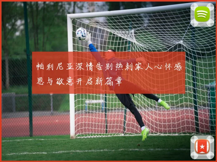 帕利尼亚深情告别热刺家人心怀感恩与敬意开启新篇章