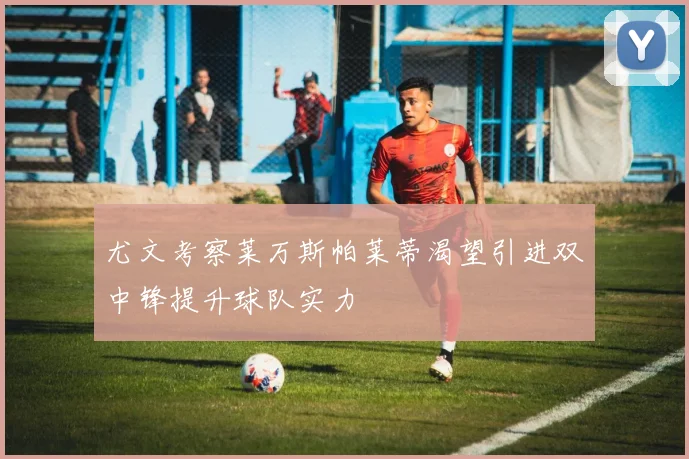 尤文考察莱万斯帕莱蒂渴望引进双中锋提升球队实力